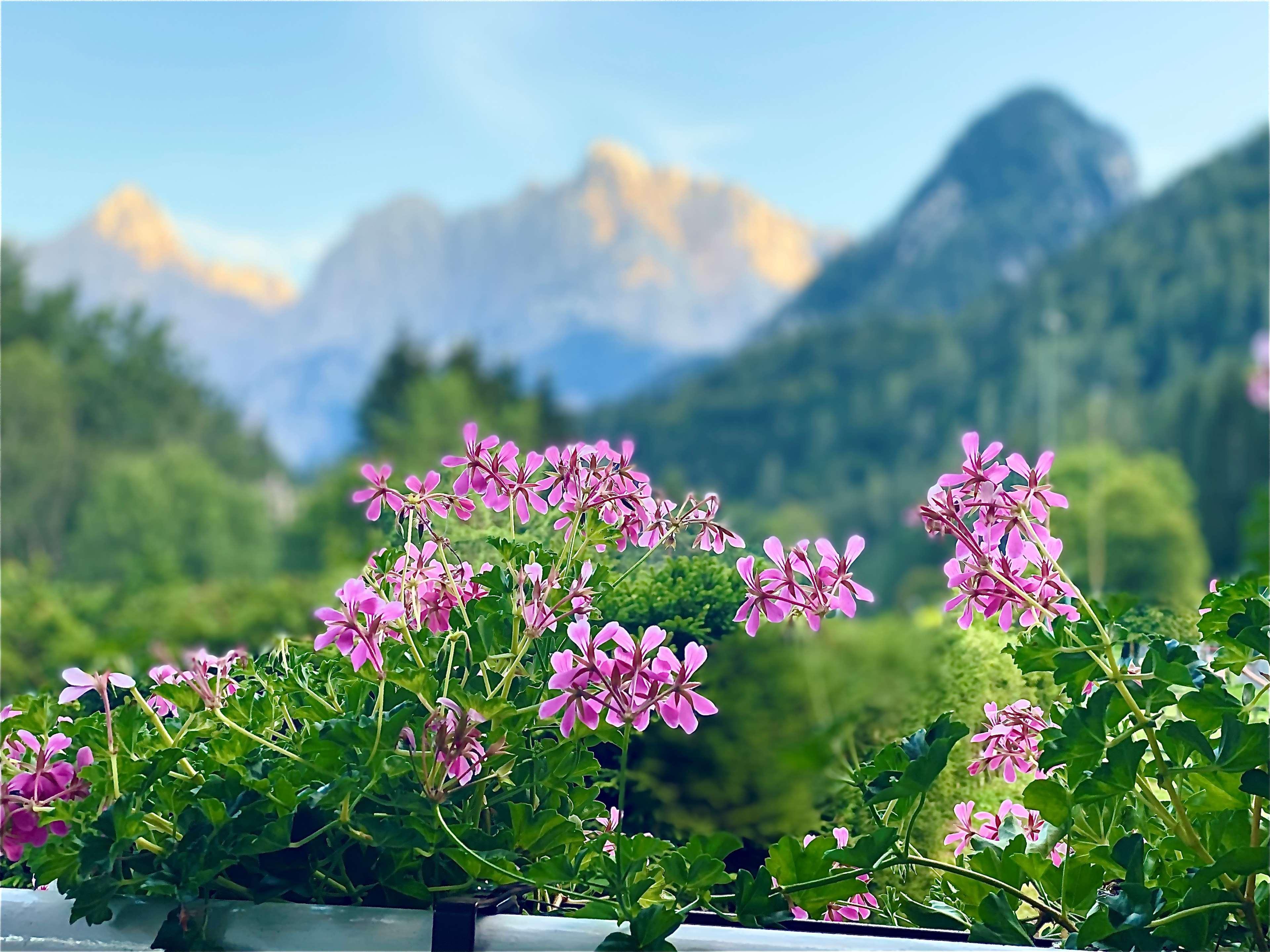 Hotel Kranjska Gora Szálloda Kranjska Gora